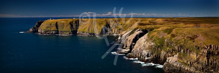 Cape St. Mary's and Bird Rock